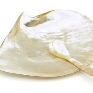 Mother of Pearl Plate & Spoon Caviar Set, Caviar set, Soap Dish , Candy Dish, Gold Lip Oyster, Gift for Mother, Home decor, Collectible Dish