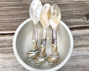1 pc Custom engraved Oyster and Snail Spoon Length= 16cm , Sugar Tea Coffee Scoop, Caviar Spoon, Shell Utensils , Caviar Set, Pisces gift