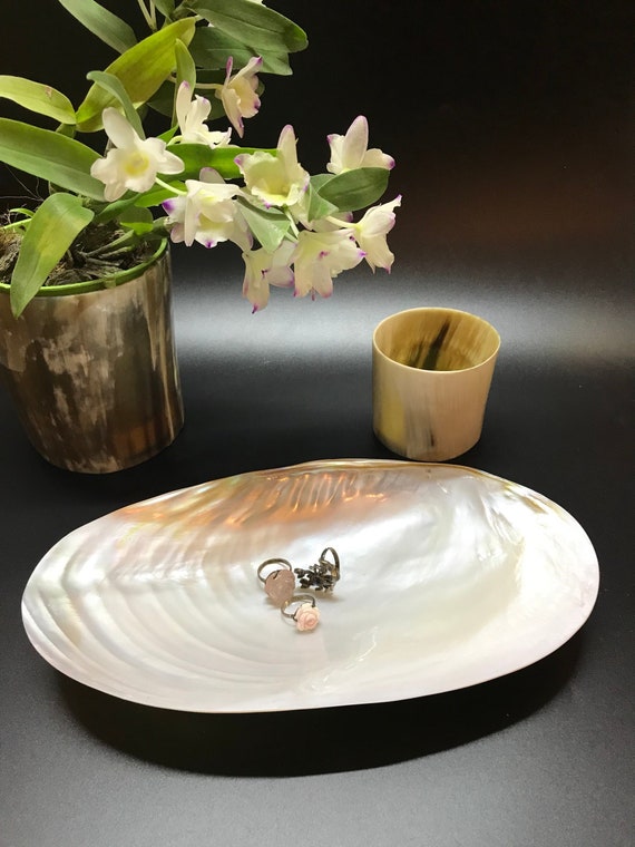 Decorative Giant Shell Dish, Mother of Pearl Dish Seashell Dish , Catchall  Shell Dish ,coastal Home Decor ,living Room, Beach Bathroom Decor 