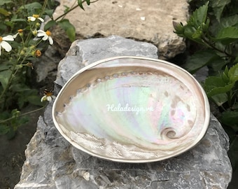 May include: A large iridescent abalone shell with a carved design. The shell is resting on a gray rock.