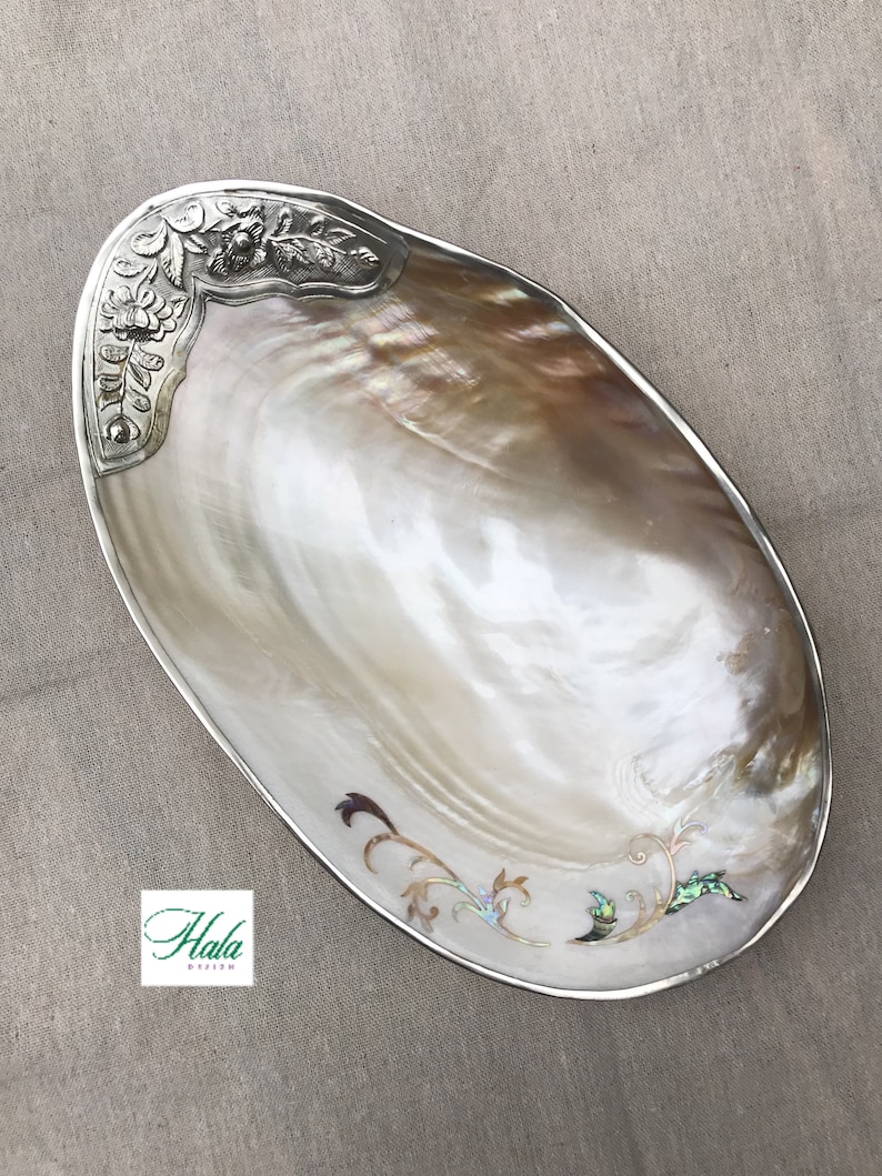 Decorative Giant Shell Dish With Silver Trim Mother of Pearl Etsy