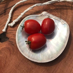 Shell Dish with Silver Plated Trim, Mother of Pearl Caviar Dish Seashell Dish , Catchall Shell Dish ,Coastal Home Decor , Beach Decor