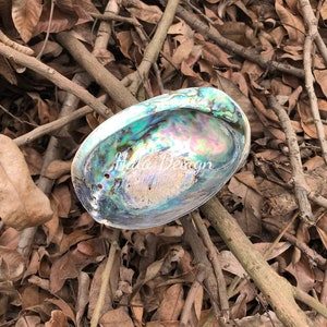 Giant Abalone Shell Dish, Seashell Dish , Catchall Shell Dish ,Smugde Bowl, Smugding Ceremonies  Meditation , Stress, Unpolished abalone