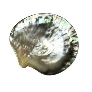 Black Mother of Pearl, Sea Shell Dish, Caviar dish, Soap Dish, Home Decor, Beach Decor, Black Lip Oyster dish, Coastal Decor