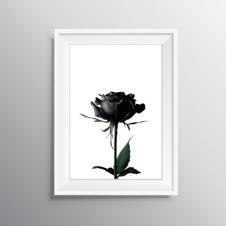 Rose print black rose wall art minimal wall decor flower Etsy