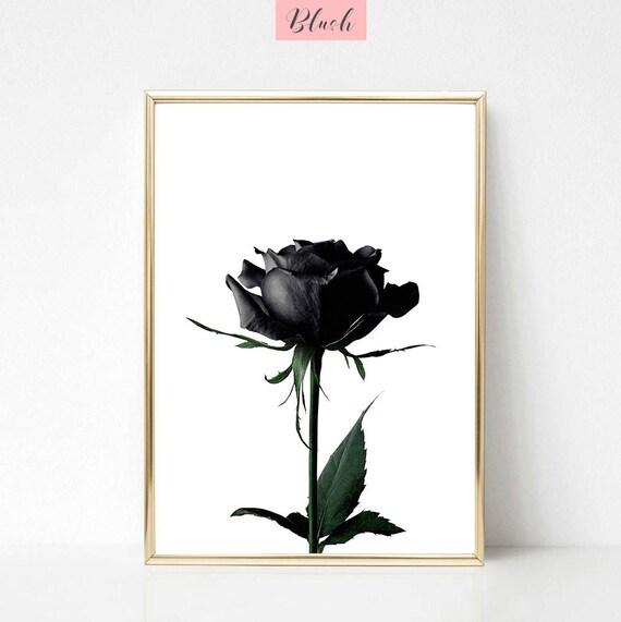 Rose print black rose wall art minimal wall decor flower Etsy