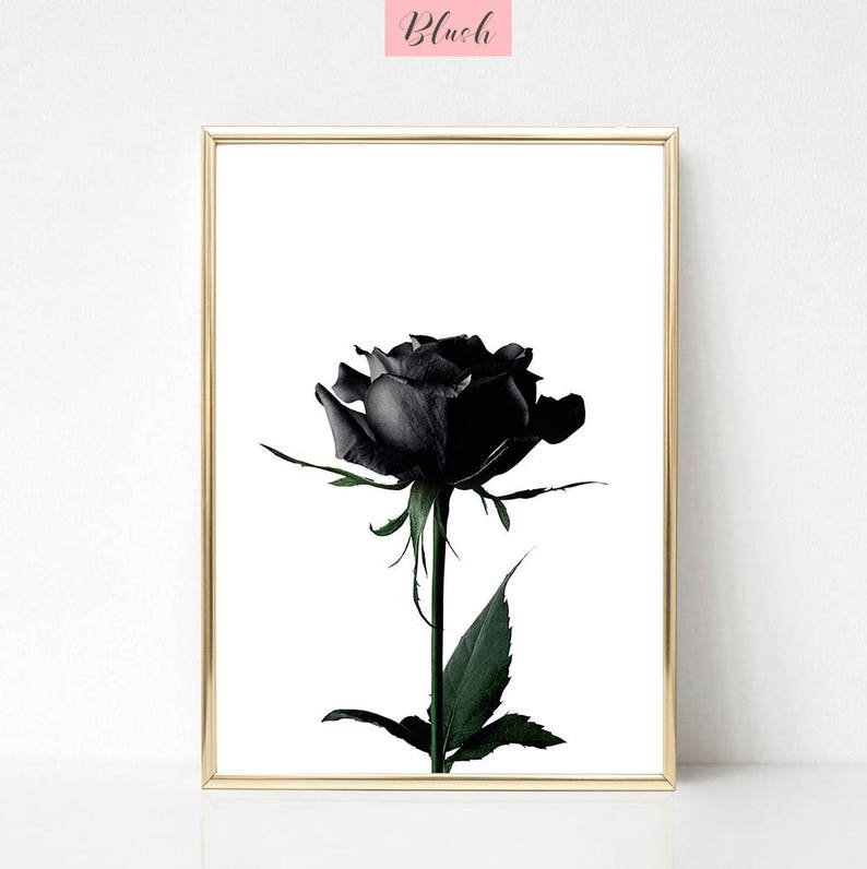Rose print black rose wall art minimal wall decor flower Etsy
