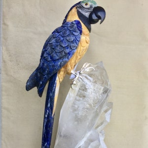 Blue and Gold Macaw- LARGE 18 1/2"-Peter Muller Masterpiece