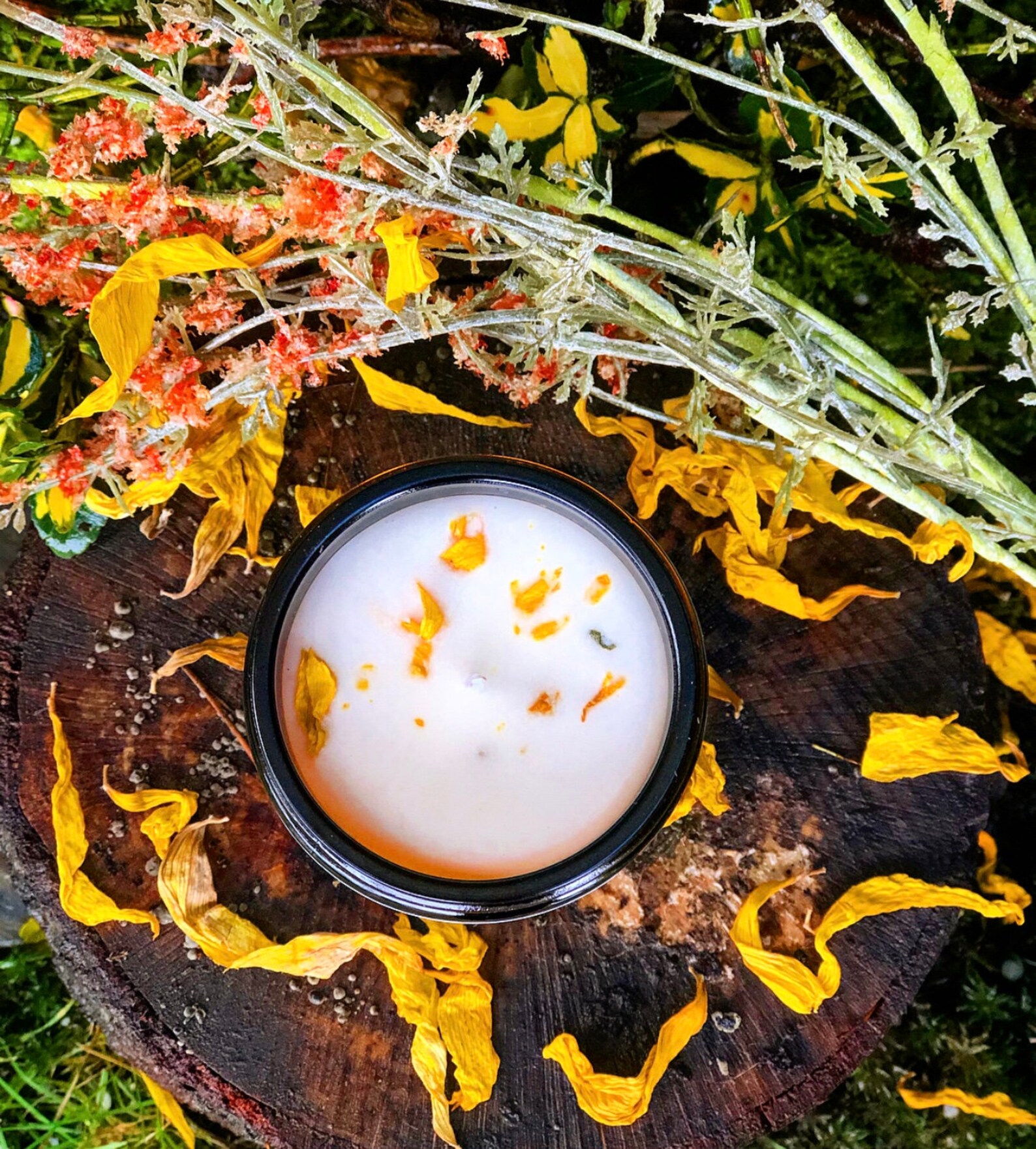 Ginger Solstice soy wax candle vegan candle natural candle Etsy