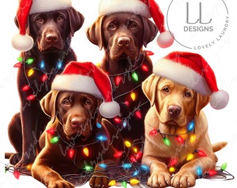 Christmas Labrador Retriever Png, Labrador Retriever Christmas Lights Png, Labrador Retriever Dog, Cute Christmas Labrador Retriever Png