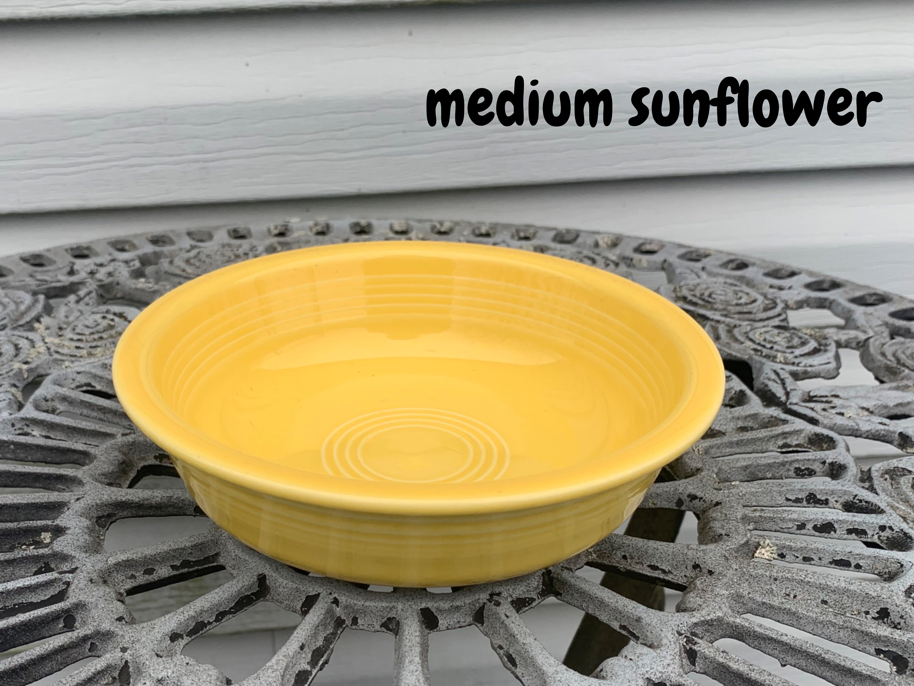 Fiestaware Dog Bowls