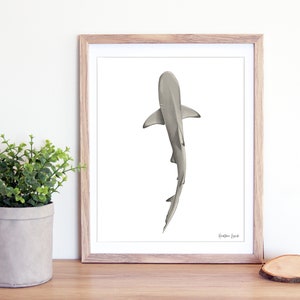 Shark Art Print | 8x10&quot; Blacktip Shark Print | Single Shark | Ocean | House Art | Beach House | Shark Lovers | Gift Ideas | Home Decor
