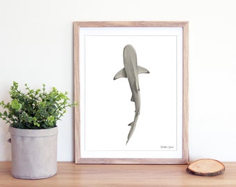 Shark Art Print / 8x10" Blacktip Shark Print / Single Shark / Ocean / House Art / Beach House / Shark Lovers / Gift Ideas / Home Decor