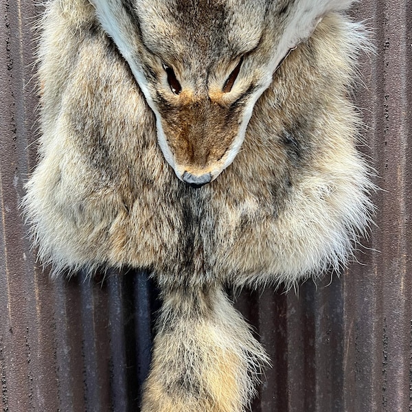 Handmade Coyote Bag, Medicine Bag, Renaissance Fair Garb