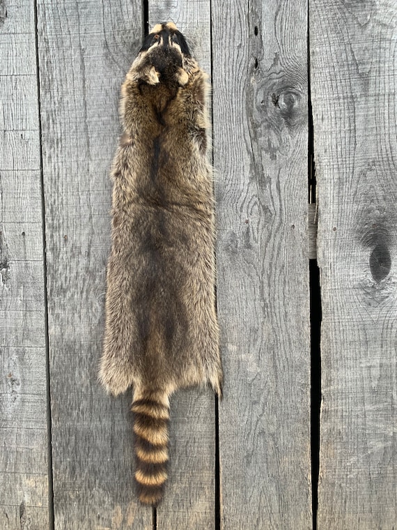Racoon fur deals