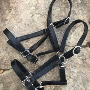 Handmade Leather Horse Halter, Horse Halter