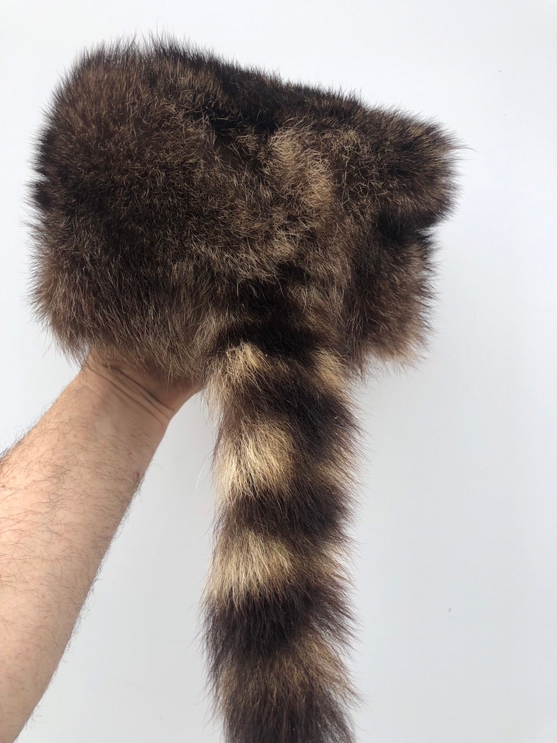 Davy Crockett Raccoon Hat, Fur Hat, Authentic Fur, Leather Lined, image 5