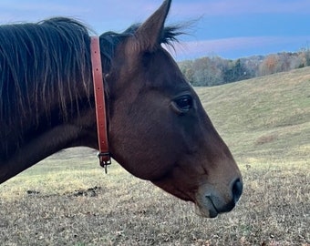 Pasture Collar, Horse collar, Broodmare collar,