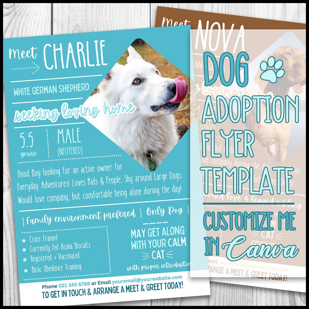 Social Media Poster Design With Pet Adoption Promotion Adopt Me Banner With  Cute Dogs Funny Cats Paw Print Patterns Vector Cartoon Template For Flyer  Design Web Page Posters Stock Illustration - Download