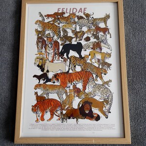 Puede incluir: Un grabado enmarcado que presenta una ilustración detallada de varias especies de felinos, incluyendo tigres, leones y leopardos. El grabado está etiquetado como "FELIDAE" y está dentro de un marco de madera marrón claro.