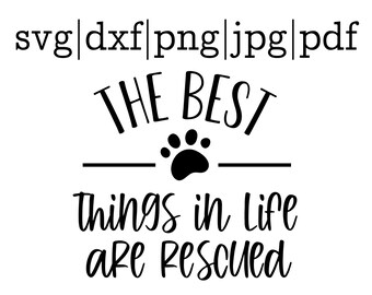 Download Animal Shelter Svg You Ll Enjoy Etsy