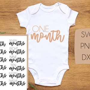 SVG PNG DXF Bébé Première Année Milestone Nouveau-né Onesie, Douze Mois Romper Cut File Image, Cricut Silhouette Sublimation