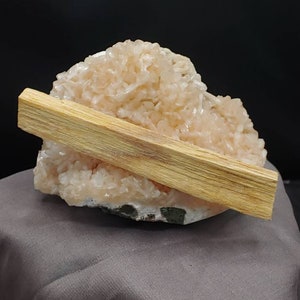 Palo Santo | Protective Wood, Purification, Protection, Clearing, Smudging Rituals