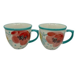 The Pioneer Woman Vintage Flea Market Floral Polka Dot Turquoise Mugs Lot of 2