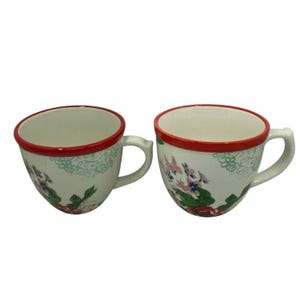 The Pioneer Woman Country Garden Floral Mugs Lot of 2