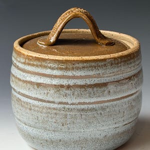 May include: A cylindrical ceramic jar with a lid featuring a textured brown handle. The body of the jar has a mottled light blue and grey glaze with horizontal ridges. The lid is a solid dark brown color, matching the handle's earthy tone.