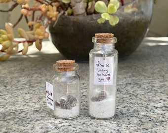 Message in a bottle. Mini glass bottles with sand and shells.