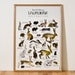 see more listings in the Animal Posters section