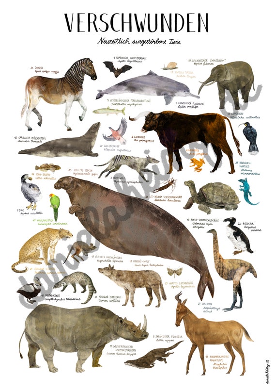 POSTER // Disappeared Modern Extinct Animals - Etsy Canada POSTER // Disappeared Modern Extinct Animals - Etsy Canada