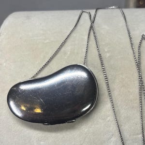 May include: A silver-toned pendant shaped like a smooth, rounded bean suspended from a delicate matching silver-toned chain. The pendant has a polished, reflective surface with a curved, organic silhouette and a small hinge visible on the bottom edge.