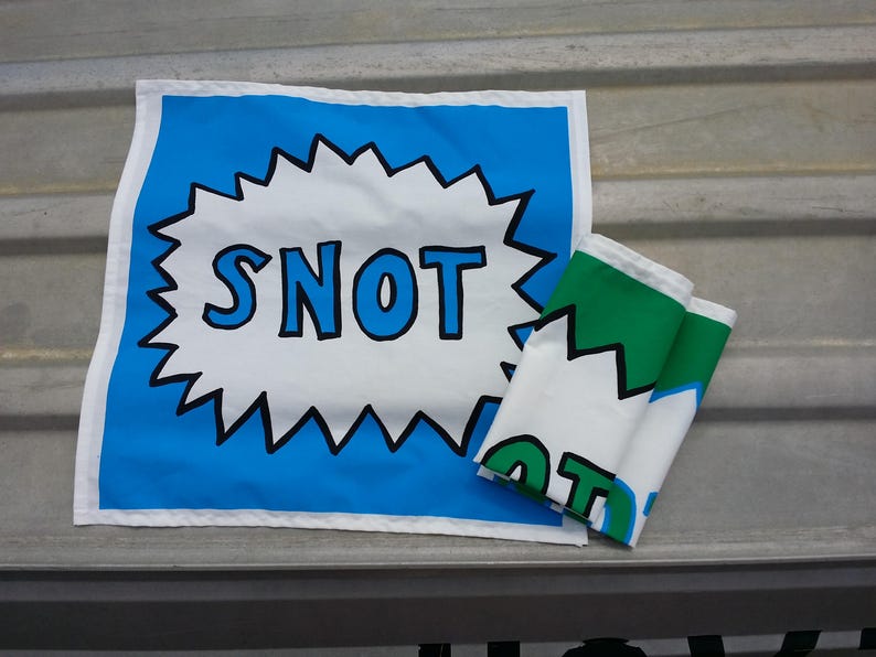 May include: Two fabric banners with a white background and black outlines. The top banner is blue with the word "SNOT" in large blue letters. The bottom banner is white with green and blue text that says "NOT".