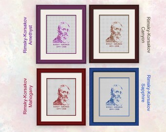 Rimsky-Korsakov - Demi-pointure - Tableau transparent - Costume pour débutants et plus