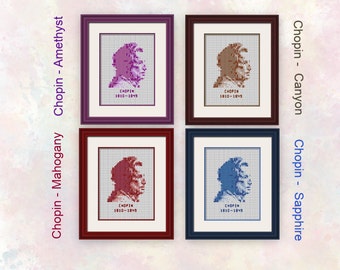 Chopin - Demi-pointure - Tableau transparent - Costume pour débutants et plus