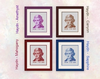 Haydn - Demi-pointure - Tableau transparent - Costume pour débutants et plus