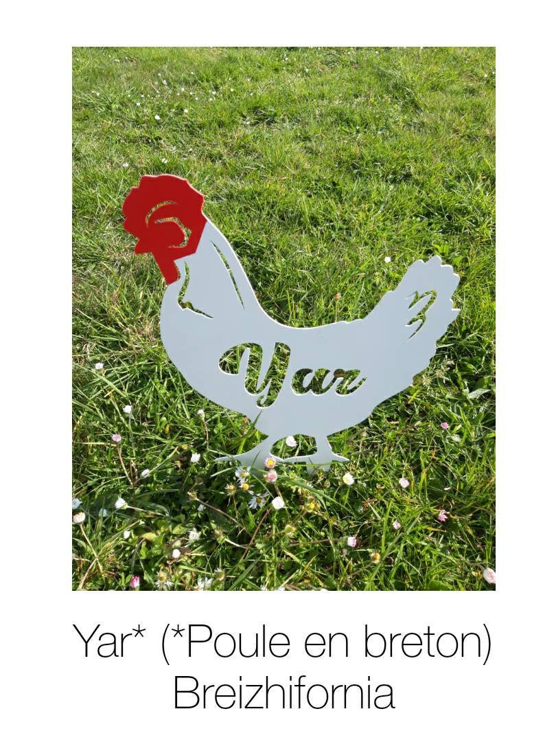 Yar | Poule en Breton
