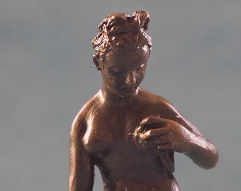 Venus drying herself after Giambologna by Neil Carter