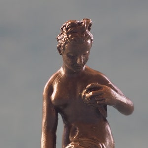 Venere che si asciuga dopo il Giambologna di Neil Carter