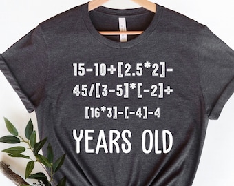 13th Birthday Shirt, 13 Years Old Algebra Equation, Gift For Teen, Teenager 13 Shirt, Teen Gift