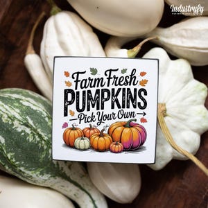 Könnte beinhalten: Ein quadratisches Schild mit dem Text "Farm Fresh Pumpkins - Pick Your Own" und einer Grafik von Kürbissen in verschiedenen Größen und Farben. Das Schild ist von weißen und grünen Kürbissen umgeben, was ein herbstliches Erntethema erzeugt.