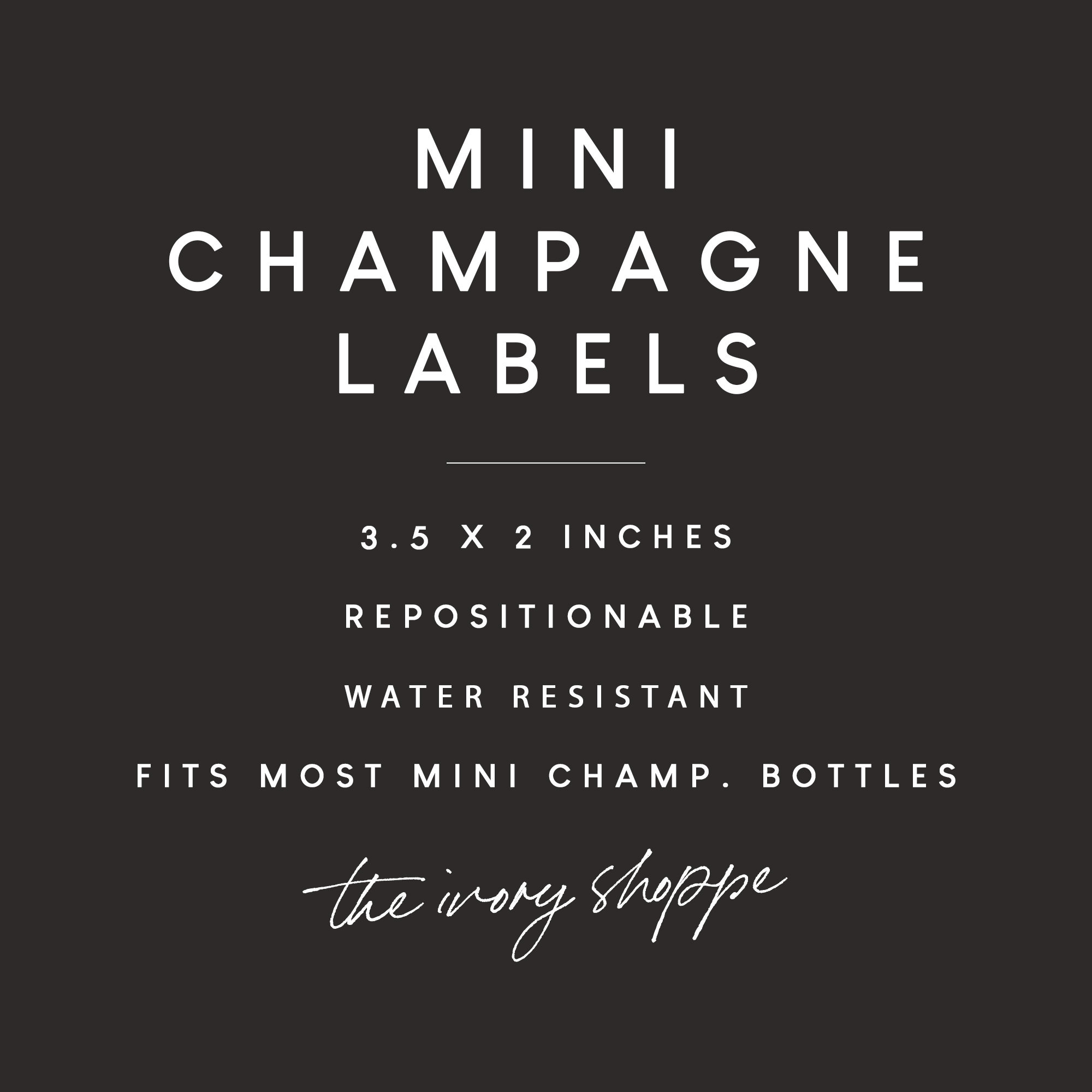 Retro Mini Champagne Bottle Labels Pink and Red Bridesmaid Etsy