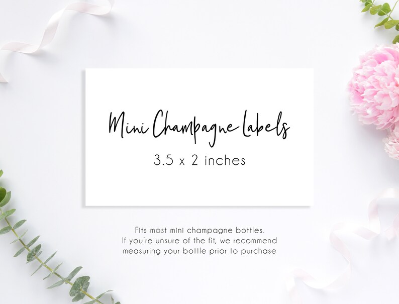 Bridesmaid Rose Gold Bride Tribe Bridesmaid Gift Champagne Labels Mini Bridesmaid Proposal