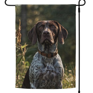 May include: A brown and white German Shorthaired Pointer dog with a brown leather collar sits in a grassy field. The dog is looking directly at the camera.
