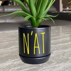 Pittsburghese  N&#39;AT - Succulent Planter
