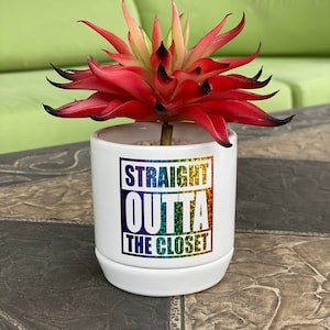 May include: A white ceramic planter with a vibrant red and green succulent. The planter features the text "STRAIGHT OUTTA THE CLOSET" in rainbow colors. The planter sits on a matching saucer.