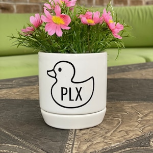 Portage Lakes, Ohio - Succulent Planter
