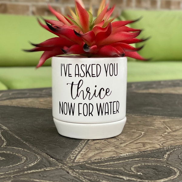 I've Asked You Thrice Now For Water - Succulent Planter